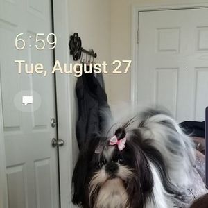 Meet your Posher, William